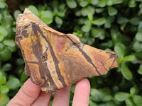 Natural Selected Nguni Jasper Cobbed Specimens x 12 From Prieska, South Africa