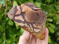 Natural Selected Nguni Jasper Cobbed Specimens x 12 From Prieska, South Africa