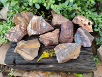 Natural Selected Nguni Jasper Cobbed Specimens x 12 From Prieska, South Africa