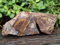 Natural Selected Nguni Jasper Cobbed Specimens x 12 From Prieska, South Africa