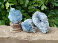 Natural Celestite Specimens x 12 From Sakoany, Madagascar