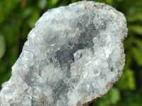Natural Celestite Specimens x 12 From Sakoany, Madagascar