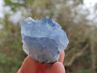Natural Celestite Specimens x 12 From Sakoany, Madagascar