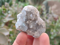 Natural Celestite Specimens x 12 From Sakoany, Madagascar