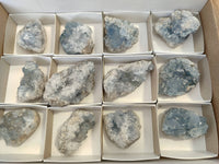 Natural Celestite Specimens x 12 From Sakoany, Madagascar