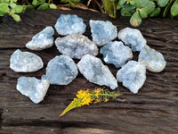 Natural Celestite Specimens x 12 From Sakoany, Madagascar