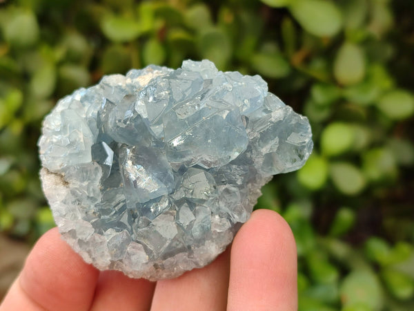 Natural Celestite Specimens x 12 From Sakoany, Madagascar