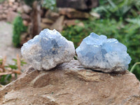 Natural Celestite Specimens x 12 From Sakoany, Madagascar