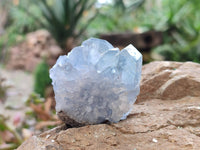 Natural Celestite Specimens x 12 From Sakoany, Madagascar