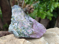 Natural Stichtite Specimens x 12 From Barberton, South Africa