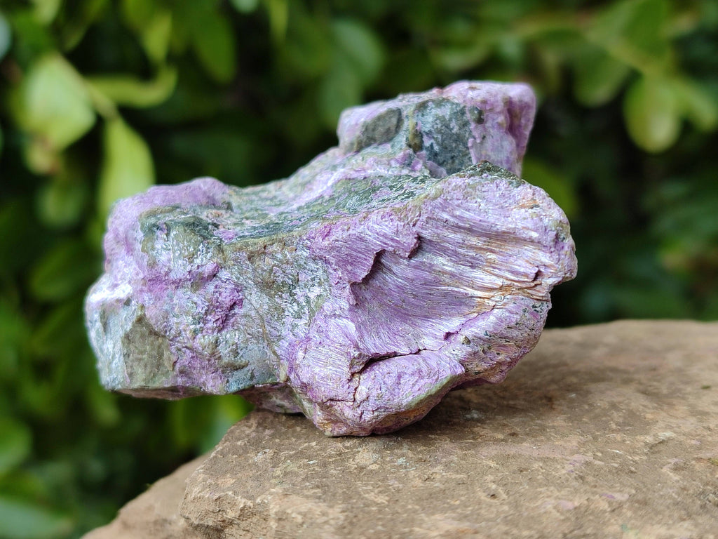 Natural Stichtite Specimens x 12 From Barberton, South Africa - Toprock Gemstones and Minerals 