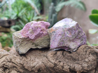 Natural Stichtite Specimens x 12 From Barberton, South Africa