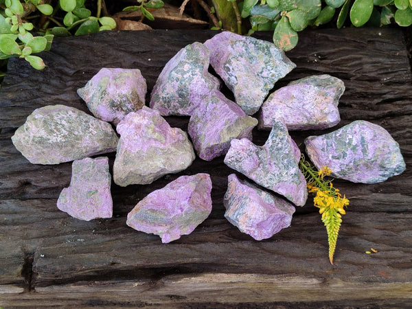 Natural Stichtite Specimens x 12 From Barberton, South Africa