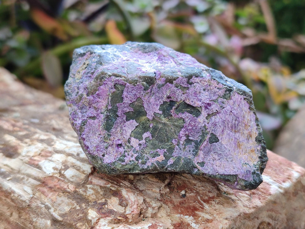 Natural Stichtite Specimens x 12 From Barberton, South Africa - Toprock Gemstones and Minerals 