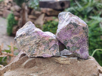 Natural Stichtite Specimens x 12 From Barberton, South Africa