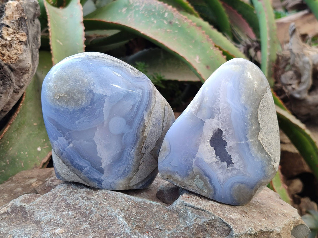 Polished Blue Lace Agate Standing Free Forms x 2 From Malawi - Toprock Gemstones and Minerals 