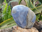 Polished Blue Lace Agate Standing Free Forms x 2 From Malawi - Toprock Gemstones and Minerals 