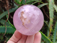 Polished Star Rose Quartz Spheres x 4 From Madagascar