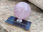 Polished Star Rose Quartz Spheres x 4 From Madagascar - Toprock Gemstones and Minerals 