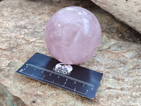 Polished Star Rose Quartz Spheres x 4 From Madagascar