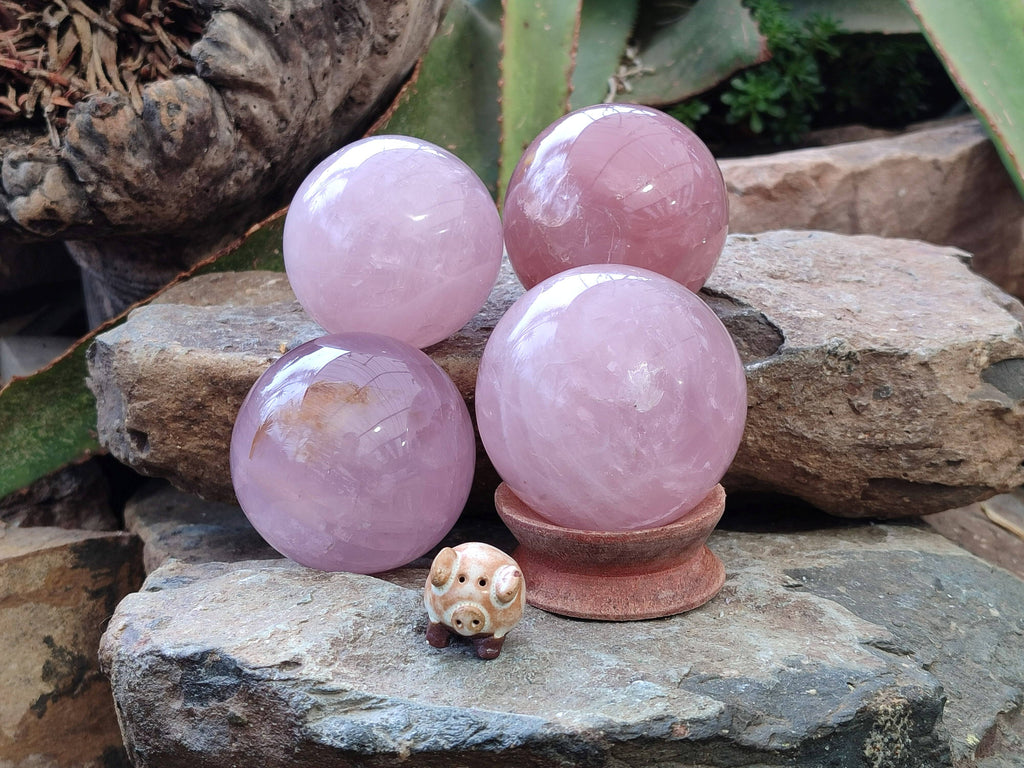 Polished Star Rose Quartz Spheres x 4 From Madagascar - Toprock Gemstones and Minerals 