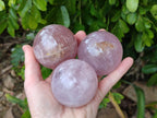 Polished Star Rose Quartz Spheres x 4 From Madagascar - Toprock Gemstones and Minerals 