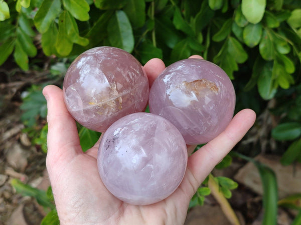Polished Star Rose Quartz Spheres x 4 From Madagascar