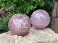 Polished Star Rose Quartz Spheres x 4 From Madagascar