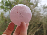 Polished Star Rose Quartz Spheres x 4 From Madagascar