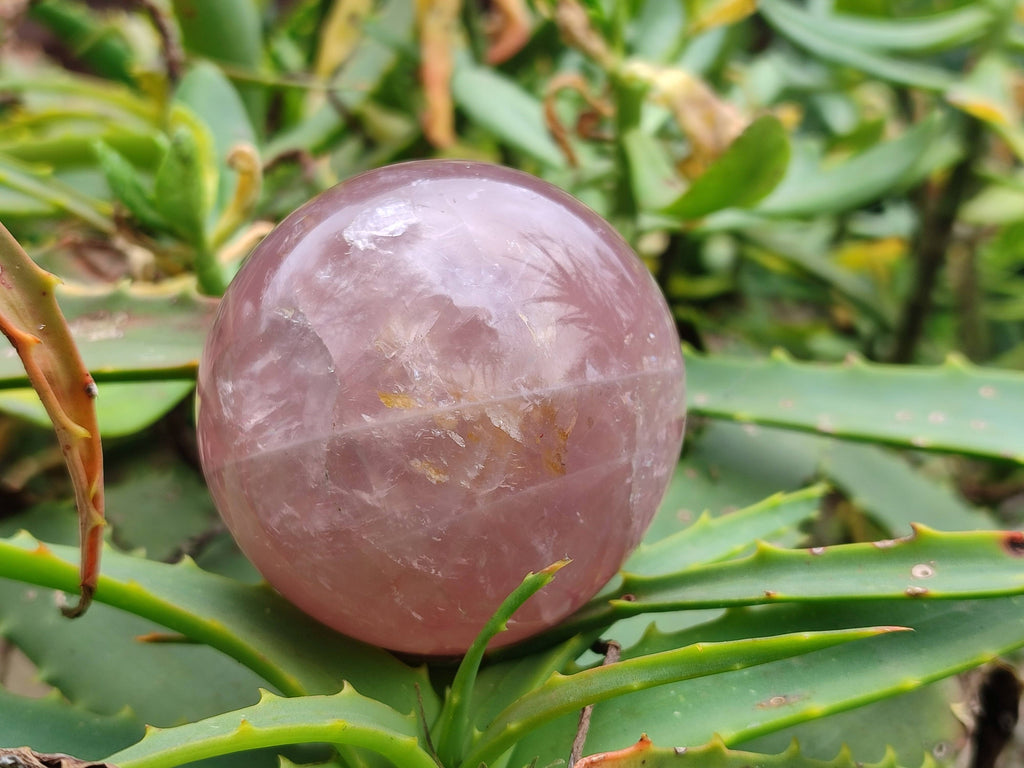 Polished Star Rose Quartz Spheres x 4 From Madagascar - Toprock Gemstones and Minerals 