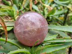 Polished Star Rose Quartz Spheres x 4 From Madagascar - Toprock Gemstones and Minerals 