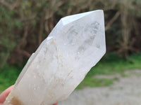 Natural Candle Quartz Crystals x 3 From Madagascar