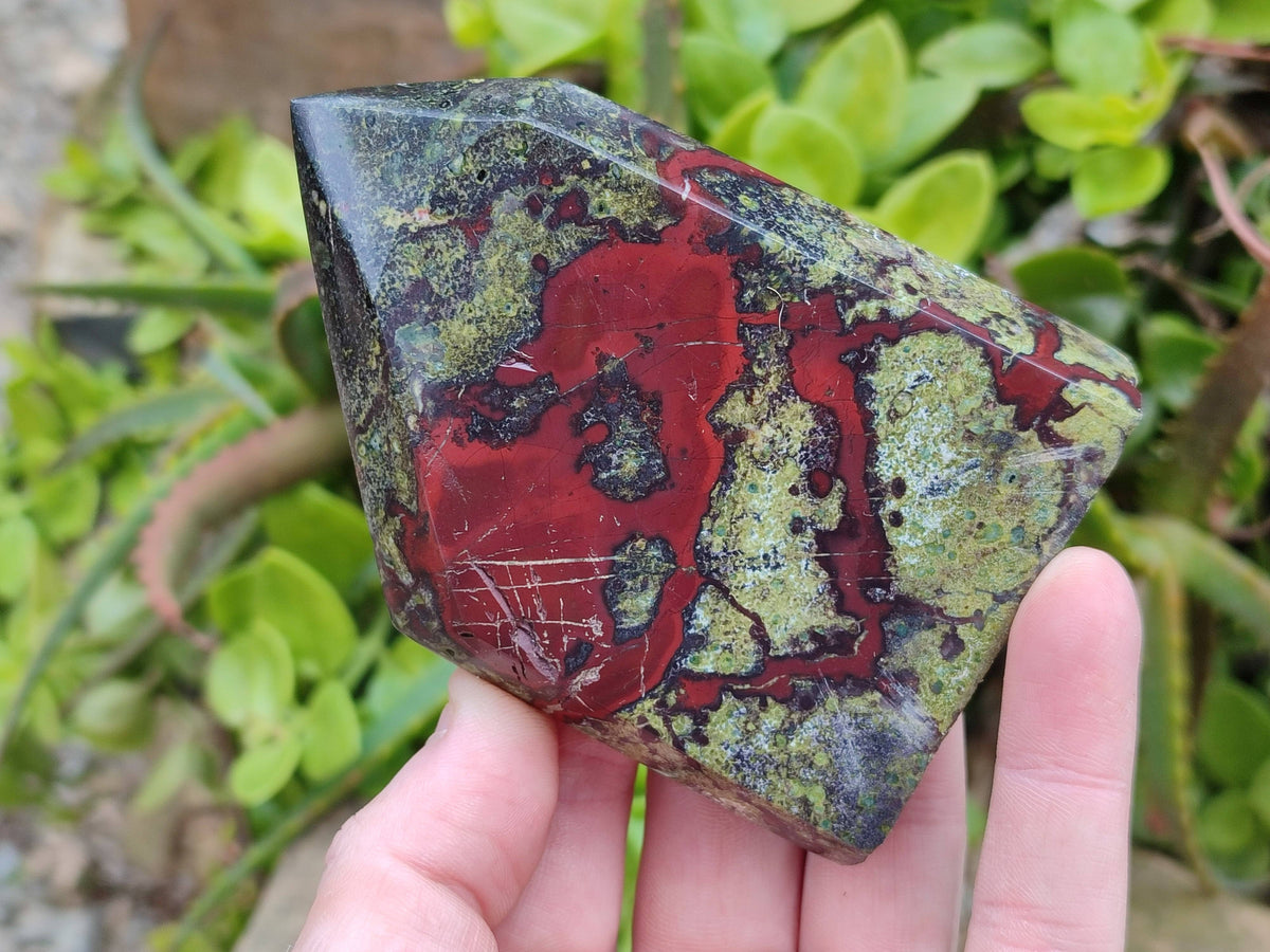 Polished Bastite Dragon Bloodstone Points x 6 From South Africa - Toprock Gemstones and Minerals 