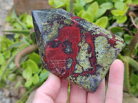 Polished Bastite Dragon Bloodstone Points x 6 From South Africa