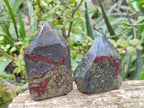 Polished Bastite Dragon Bloodstone Points x 6 From South Africa - Toprock Gemstones and Minerals 