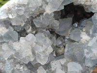 Polished Celestite Items x 2 From Sakoany, Madagascar