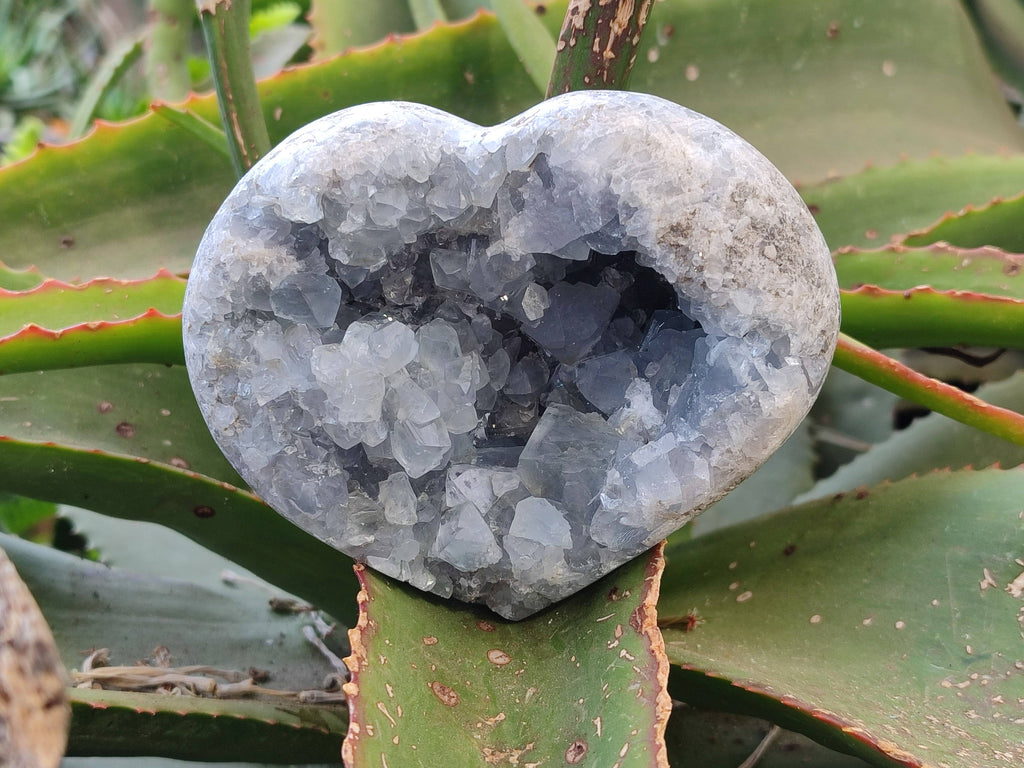 Polished Celestite Items x 2 From Sakoany, Madagascar - Toprock Gemstones and Minerals 