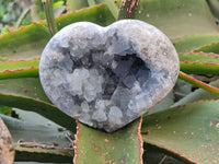 Polished Celestite Items x 2 From Sakoany, Madagascar