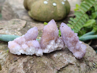 Natural Amethyst Spirit Quartz Specimens x 20 From South Africa