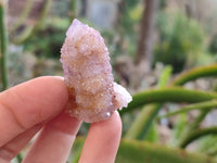 Natural Amethyst Spirit Quartz Specimens x 20 From South Africa