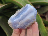 Natural Blue Lace Agate Geode Specimens x 24 From Malawi
