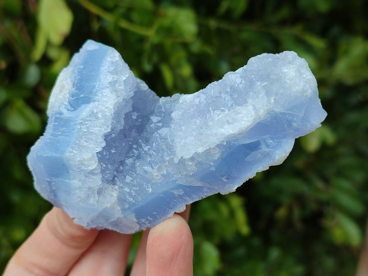 Natural Blue Lace Agate Geode Specimens x 24 From Malawi - Toprock Gemstones and Minerals 