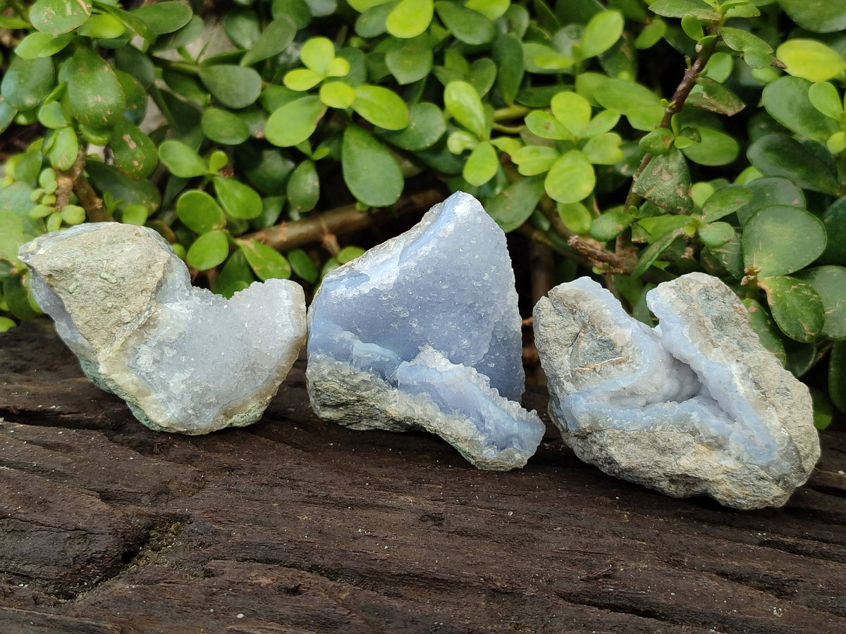 Natural Blue Lace Agate Geode Specimens x 24 From Malawi - Toprock Gemstones and Minerals 