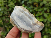 Natural Blue Lace Agate Geode Specimens x 24 From Malawi