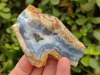 Natural Blue Lace Agate Geode Specimens x 24 From Malawi