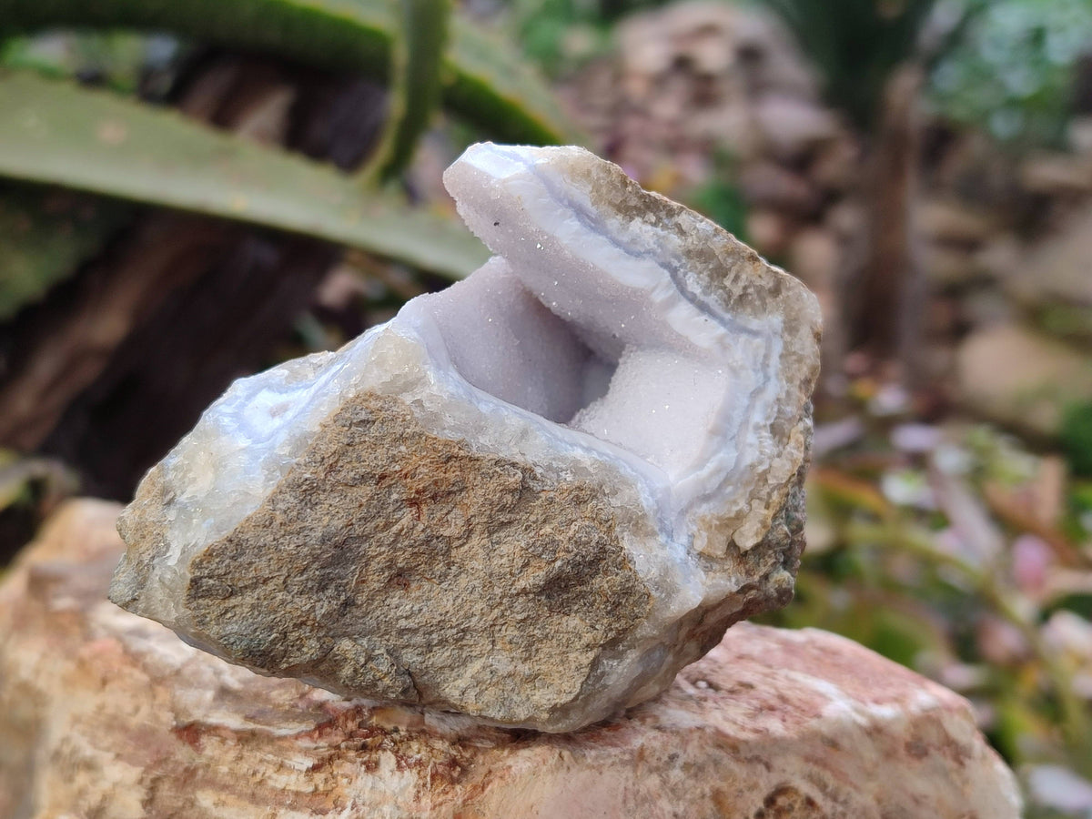 Natural Blue Lace Agate Geode Specimens x 24 From Malawi - Toprock Gemstones and Minerals 