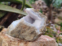 Natural Blue Lace Agate Geode Specimens x 24 From Malawi