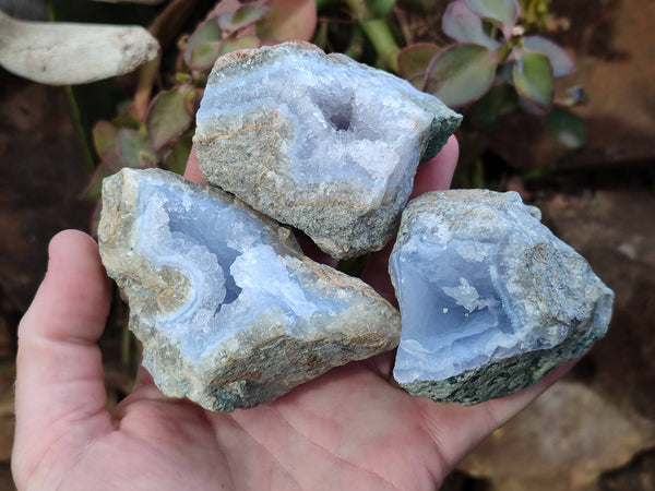 Natural Blue Lace Agate Geode Specimens x 24 From Malawi