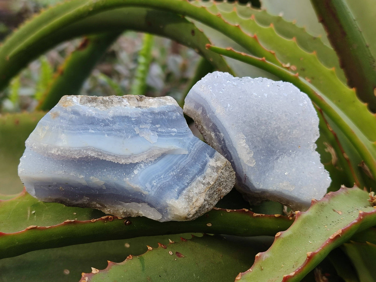 Natural Blue Lace Agate Geode Specimens x 24 From Malawi - Toprock Gemstones and Minerals 
