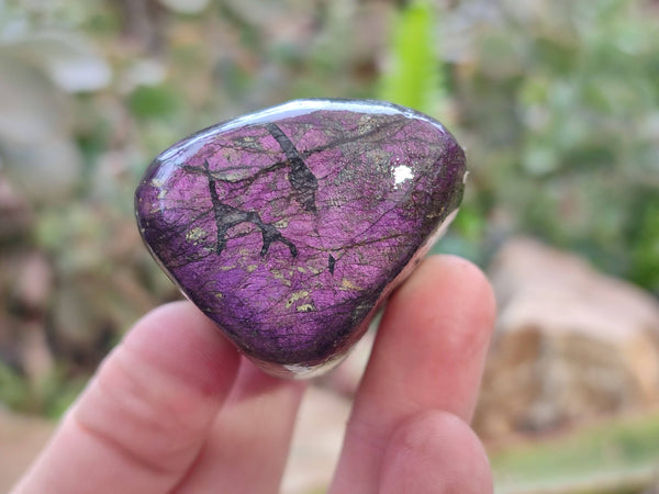 Polished Purpurite Specimens x 12 From Namibia